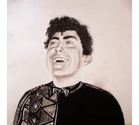 Hobo Johnson The Rise of Hobo Johnson (Vinyl)