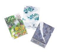 Hobonichi Techo Accessories iyo Okumi Lot de 3 chemises transparentes pour format A6