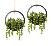 Hobyhoon Lot de 2 Plantes succulentes artificielles à Suspendre - 30,5 cm - dans Un Pot en Bois - Décoration Murale d'intérieur et d'extérieur - Noir
