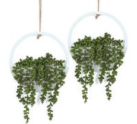 Hobyhoon Lot de 2 Plantes succulentes artificielles à Suspendre - 30,5 cm - dans Un Pot en Bois - Décoration Murale intérieure ou extérieure