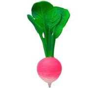 Oli & Carol – Jouet de dentition et de bain Ramona le radis – en caoutchouc naturel – 15 cm