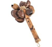 Hochet Shaker Maracas Musique Bois Hochet Enfants Rythme Instrument Son Percussion Enfants Fruits