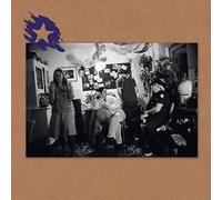 Hochzeitskapelle - The World is Full of Song [Import]