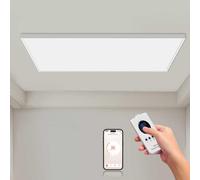 Hocosyme Chauffage infrarouge plafond avec Télécommande 1000 watts, chauffage infrarouge 120 degrés Celsius pour une pièce de 10 à 20㎡ - WIFI (Tuya Smart) - TÜV