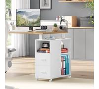 HOCSOK Caisson de Bureau 2 Tiroirs, Meuble de Rangement pour Dossier avec roulettes, Placard de Rangement Mobile, Blanc