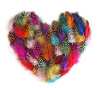 HOCUCHELAND 200 Pièces Plumes Colorées, 4,5-10cm Plumes Loisirs Creatifs Mouchetées, Plume Decoration pour Boucles d'oreilles DIY, Mariage, Attrape-Rêves, Pâques