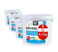 Höfer Chemie 4 x 5kg BAYZID® Pastilles de Chlore pour Piscine(20g), Chlore Multifonction 5 en 1
