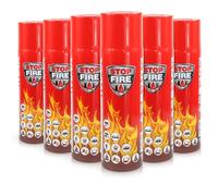 Höfer Chemie 6 x 500g d'extincteur en aérosol pour éteindre Les Feux naissants de Classe A & F
