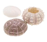 Hoement Décoration Intérieure Bords Lisses en Coquillages D'oursins 3pcs pour Pots de Fleurs et Plantes Aériennes, pour Aquariums et Chambres