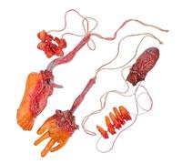 Hoement Main Coupée Décorations Articulée pour Maison Hantée, Jardin, Rouge | Latex Coton, Parties du Corps Brisées, Doigts, Accessoires Décoratifs pour Pièce Secrète, Célébration Halloween