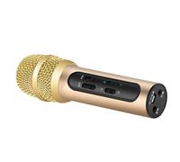 Hoement Microphone à Main Professionnel Rechargeable USB Mode Son Écho et Direction Unique en Alliage D'aluminium, pour Karaoké en Salle ou Église, 1 Set