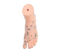 Hoement Modèle des Points D'acupression du Pied en Vinyle D'acupuncture Pédagogique Beige Réaliste de 19 Cm pour Affichage et Enseignement en Physiologie