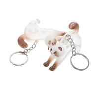 Hoement Porte-clés pour Poils de Chat en Plastique et Alliage Commémoratif de Chat Transparent, Boîte à Souvenirs Lot de 2 Pièces pour Usage Quotidien et Occasions Diverses