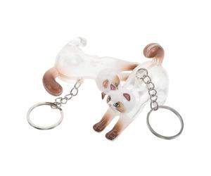 Hoement Porte-clés pour Poils de Chat en Plastique et Alliage Commémoratif de Chat Transparent, Boîte à Souvenirs Lot de 2 Pièces pour Usage Quotidien et Occasions Diverses