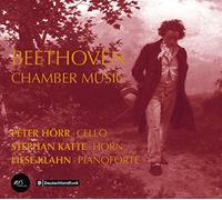 Peter Hörr – Beethoven : Musique de chambre – Import – ARTHAUS