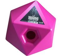 Hofman Animal Care Cube pour Alimentation 'Maximus Feed & Play' - Rose