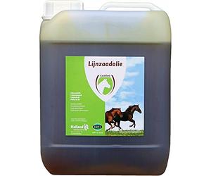 Hofman Huile de lin (huile de lin) 5L
