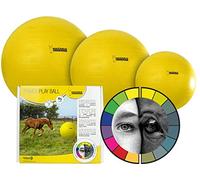Hofman Maximus Power Play Ball Jouet pour cheval Jaune 75 cm