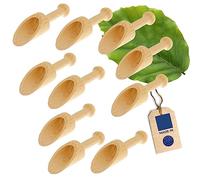 HOFMEISTER® Lot de 10 cuillères doseuses en bois de hêtre 5 cm Pelle pour épices, café, céréales et poudre, dosage, pesée et remplissage sûrs, cuillères doseuses en bois de hêtre