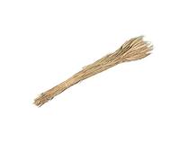 HOGEWONING BV - GERBE ÉPIS DE BLÉ SÉCHÉ 100G 65-70CM NATUREL