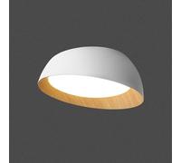HOGNYAU Plafonniers LED Modernes Européens Protection des Yeux sans Lumière Bleue Plafonnier De Chambre À Coucher Personnalisé Oblique Chaud Chambre Principale Luminaire Bureau 6000K Lampe D'étude