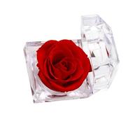 hogtnd Boîte à bijoux transparente avec roses préservées permettant une visualisation facile et un rangement soigné des articles dans des designs portables