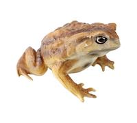 Hogvinnatil Grenouille Réaliste Réaliste Éducative Mignonne Mini