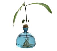 Hogvinnatil Vase Transparent en Verre - Planteur d'avocat - Vase à Fleurs - Pot de Culture d'avocat