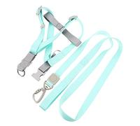 Hohopeti 1ensemble Laisse Et pour Chien Réglables Ensemble De Promenade pour Petits Chiens avec Anneaux Couleur Verte pour Extérieur