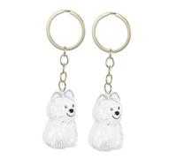 Hohopeti 2 pièces Porte-clés Urne pour Poils de Chien Boîte de Rangement Commémorative Élégante et Transparente Accessoire Multifonctionnel pour Souvenir Animaux