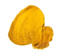 Hohopeti 3ensembles Papier Offrande Céleste pour Deuil Animal Papier Commémoratif pour Chat et Chien Articles pour Cérémonie Funéraire Poisson Jaune Rituel Offrande pour Animal