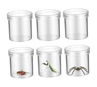 Hohopeti 6 pièces Boîte Loupe Insecte avec Ventilation Pot Observation Grossissant pour Garçon Fille Collecte Insectes et Exploration Naturelle Plastique Réutilisable pour Activités