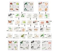 Hohopeti 7 Ensembles Jouets Éducatifs Puzzles Cycle de Vie Animaux Apprentissage Garçon Fille Puzzle Associatif Pédagogique pour Éveil et Observation