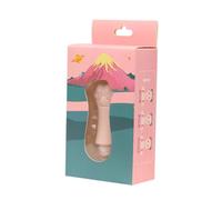 Hohopeti Bâtonnet Absorbant Visage Pierre Volcanique Roulante pour Facial Contrôle Instantané Peau Propre et Respirante avec Pierre Détachable Facile à Nettoyer
