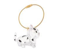 Hohopeti Boîte de Conservation Transparente pour Poils de Chat avec Couvercle Capsule Porte-clés Collecteur de Poils pour Souvenir de Chat et Rangement Polyvalent Boîte Mémoire Claire pour