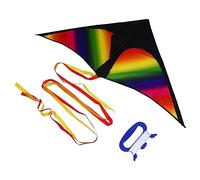 Hohopeti Cerf-Volant Triangle Coloré avec Longue Queue Facile à Jouet Extérieur pour Garçon Fille Et Adultes