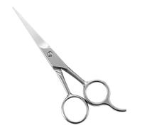Hohopeti Ciseaux à Barbe en Acier Inoxydable Outil de Mise en Forme Pratique 12,5 Cm pour la Barbe et les Favoris des Hommes