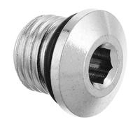 Hohopeti Détendeur de Plongée Vis de Premier Étage en Laiton Chromé Bouchon Basse Pression Léger 1 Pièce Outil pour Détendeurs de Plongée Pièce de Rechange Métal