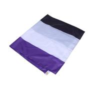 Hohopeti Drapeau Asexuel Lgbtqia en Polyester Résistant 90x150 Cm Œillets Métalliques pour Décoration Extérieure de Fête et Soutien la Fierté et L'identité Sexuelle