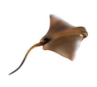 Hohopeti Figurine d'animal Marin en Plastique Réaliste Modèle de Manta pour Garçon et Filles Éducatif Océanique pour Développement Cognitif et Collection Petit Océan pour Garçon Fille