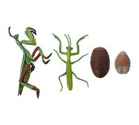 Hohopeti Figurine Éducative Cycle de Vie Mante Religieuse Garçon et Filles Taille Moyenne Plastique Réaliste Apprentissage Préscolaire Nature Découverte Jeu Scientifique