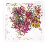 Hohopeti Fleurs Séchées pour Ongles Breloques Décoration Kit Manucure avec Fleurs Décoratives Couleur Aléatoire