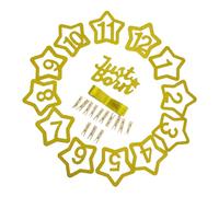 Hohopeti Guirlande Photo pour 1er Anniversaire Bébé 12 Pinces à Photo, Bannière Décorative Étoile Pailletée, Décoration Murale Colorée pour Fête Garçon et Filles D’un An