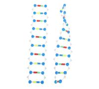 Hohopeti Lot de 2 Kits d'apprentissage Adn Double Hélice, Modèle Pédagogique Scientifique Composants Précis, Matériel Éducatif pour Étudiants en Biologie, Outil D'étude Génétique