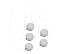 Hohopeti Lot De 5 Boules D'Équilibre pour La Physique Et La Science Pendule Gadget Ornements Pendule Résonance d'apprentissage