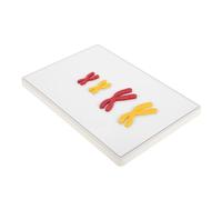 Hohopeti Modèle Affichage De Changement Chromosomique Magnétique pour Enseignement Biologie Fournitures Scolaires Et Laboratoire