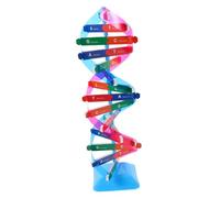 Hohopeti Modèle D'Aide Génétique Structure Double Hélice De L'Adn Scientifique De Science Modèle D'Adn De Biologie Double Hélice De