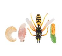Hohopeti Modèle Éducatif Cycle de Vie Gros Bourdon Pédagogique Animal pour Garçon Fille Cognition et Imagination Cadeau Garçon Fille Ans