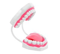 Hohopeti Modèle Pédagogique Standard de Dents Humaines 6 Fois Agrandi, Couleur Rose, Kit D'accessoires D'étude des Dents pour Formation Bucco-, Démonstration de Brossage et Nettoyage,