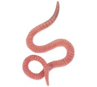 Hohopeti Modèle Réaliste de Ver de Terre en Plastique 1 Pièce Figurine Éducative d'Insecte Simulé pour Garçon et Filles Décoration Tactile Sûre et Réutilisable Cognitif pour Éveil